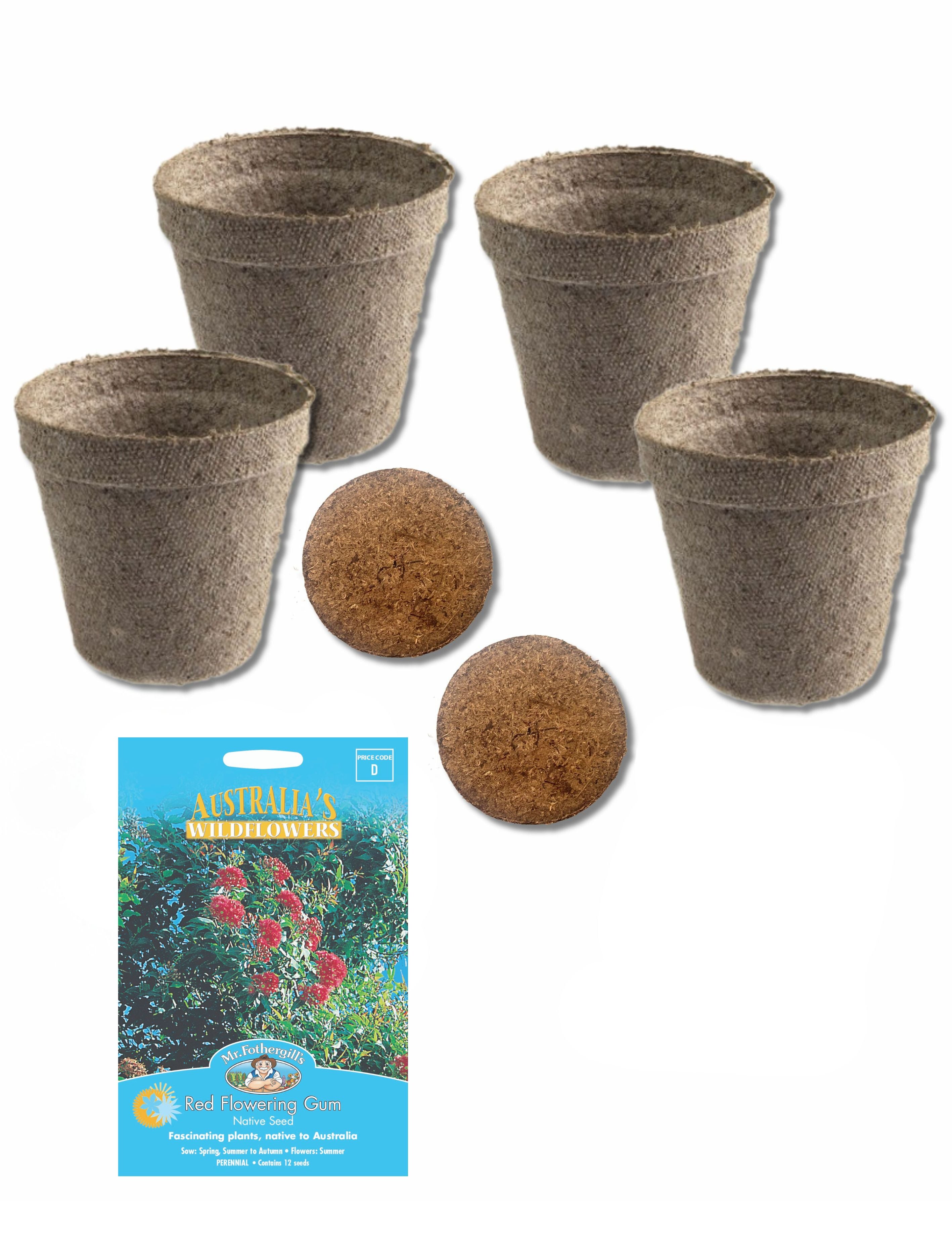 Red Flowering Gum Tree Grow Kit