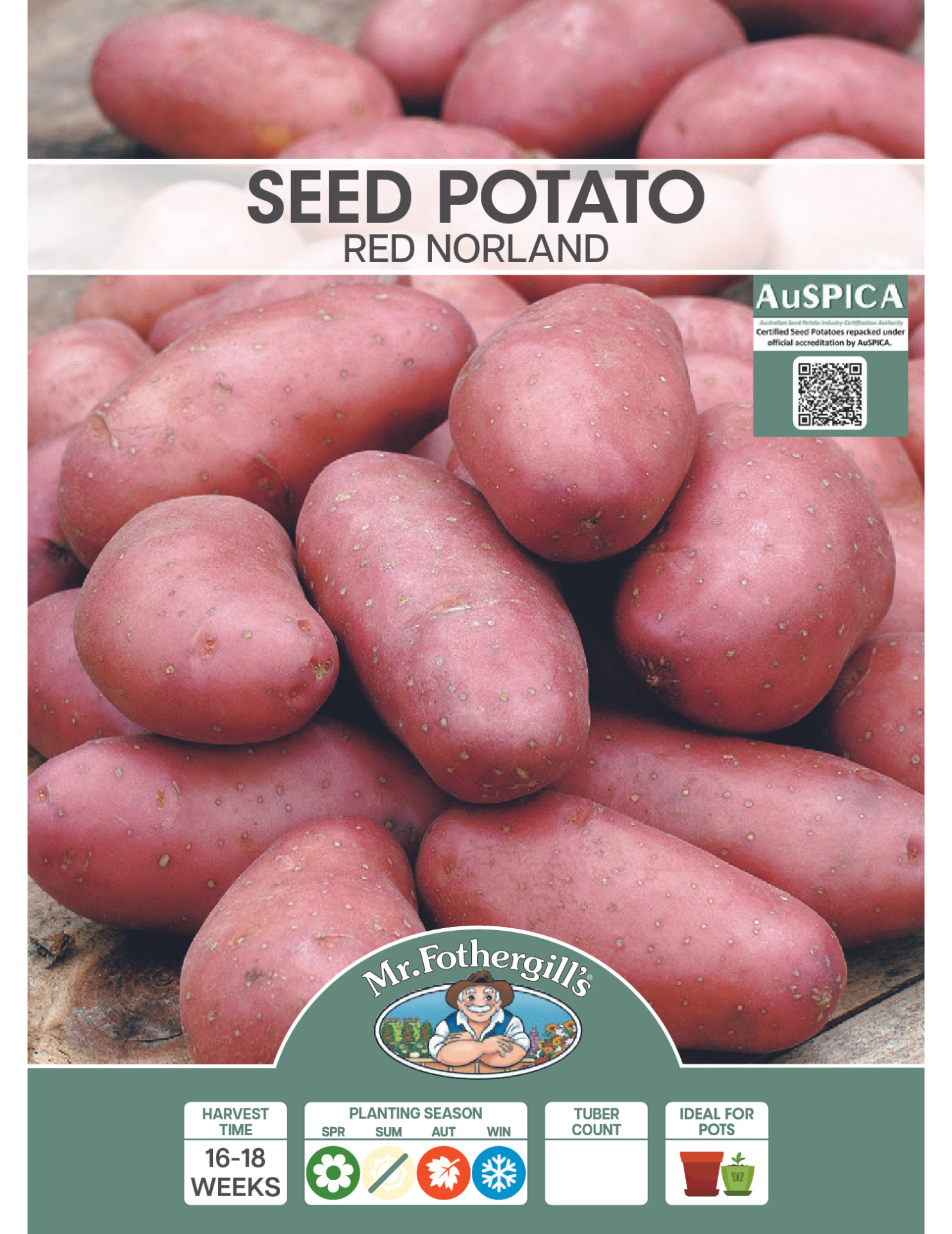 Seed Potato - Red Norland (500g Bag)