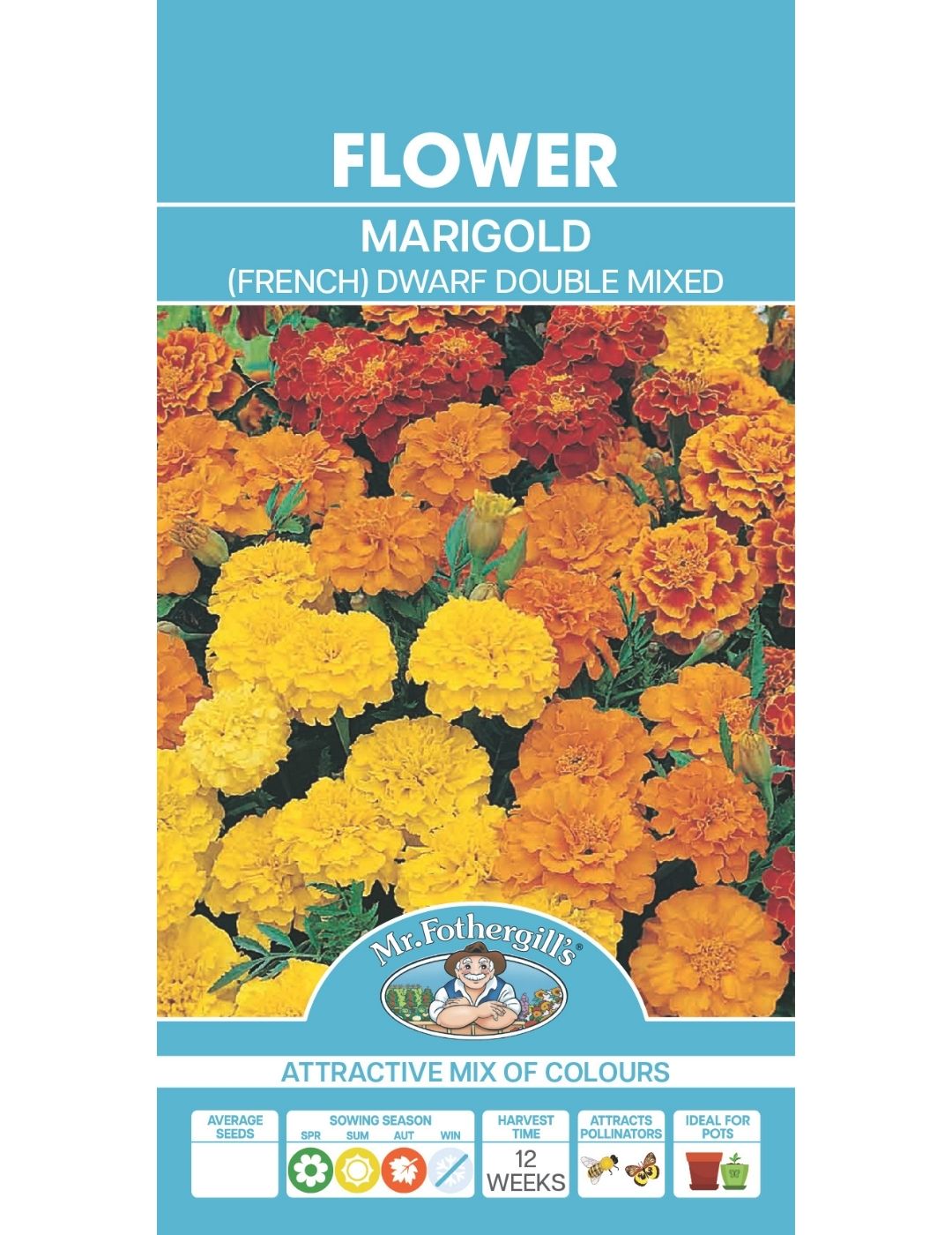 Dwarf Double Mixed Marigold Seeds