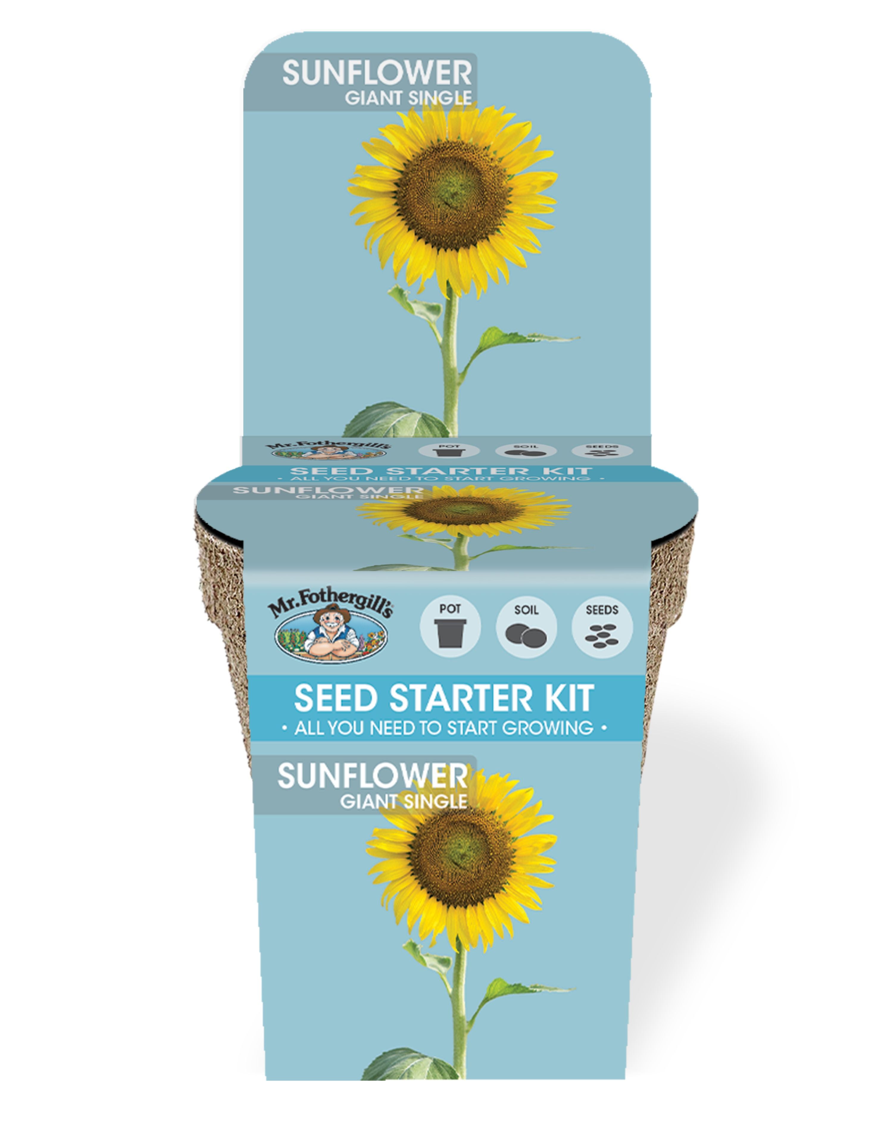 Sunflower Giant Single Seed Starter Kit