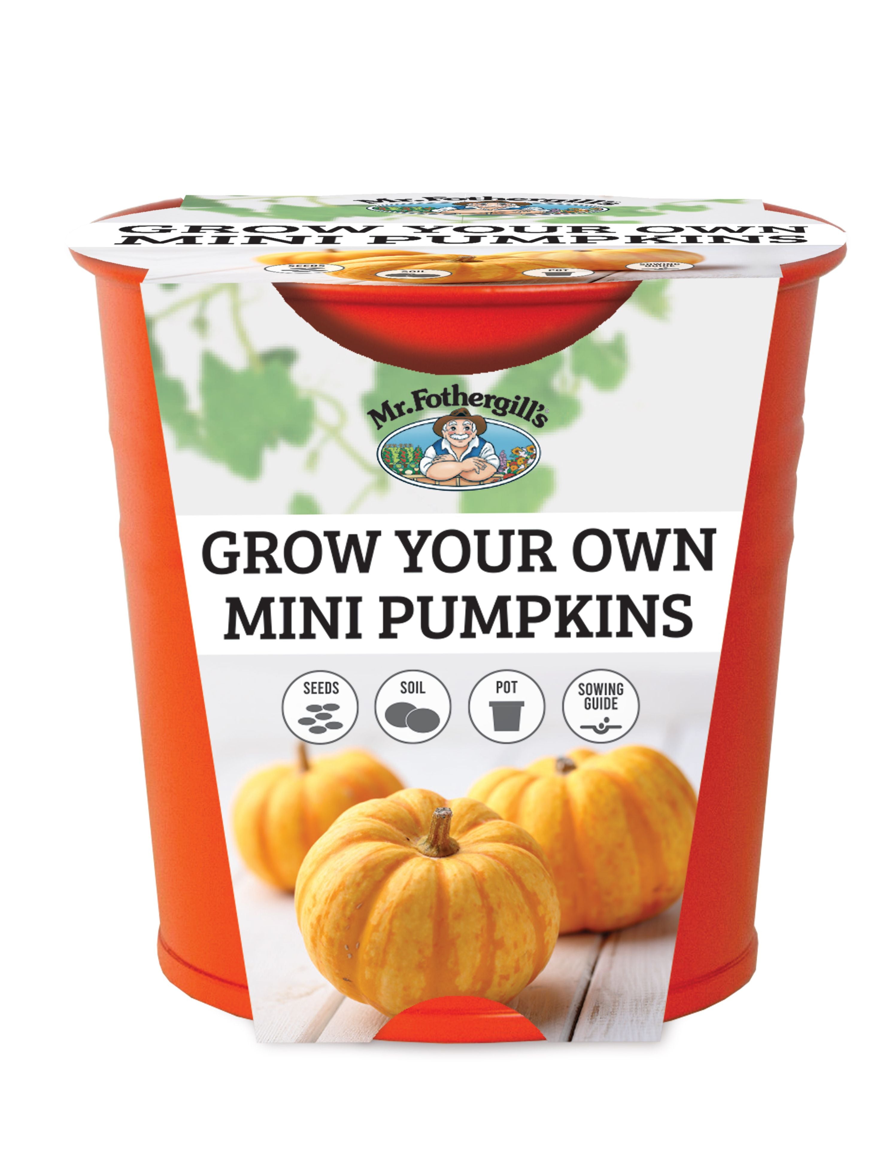 Grow Your Own Mini Pumpkin Kit