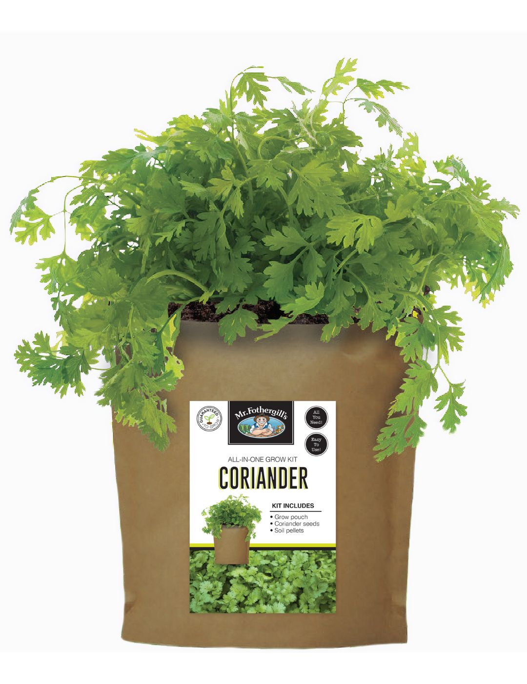 Coriander Seed Grow Pouch Kit