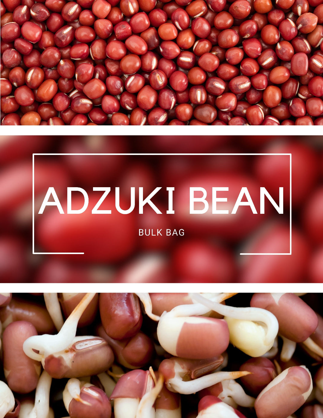 Adzuki Bean - Sprouting BULK BAG