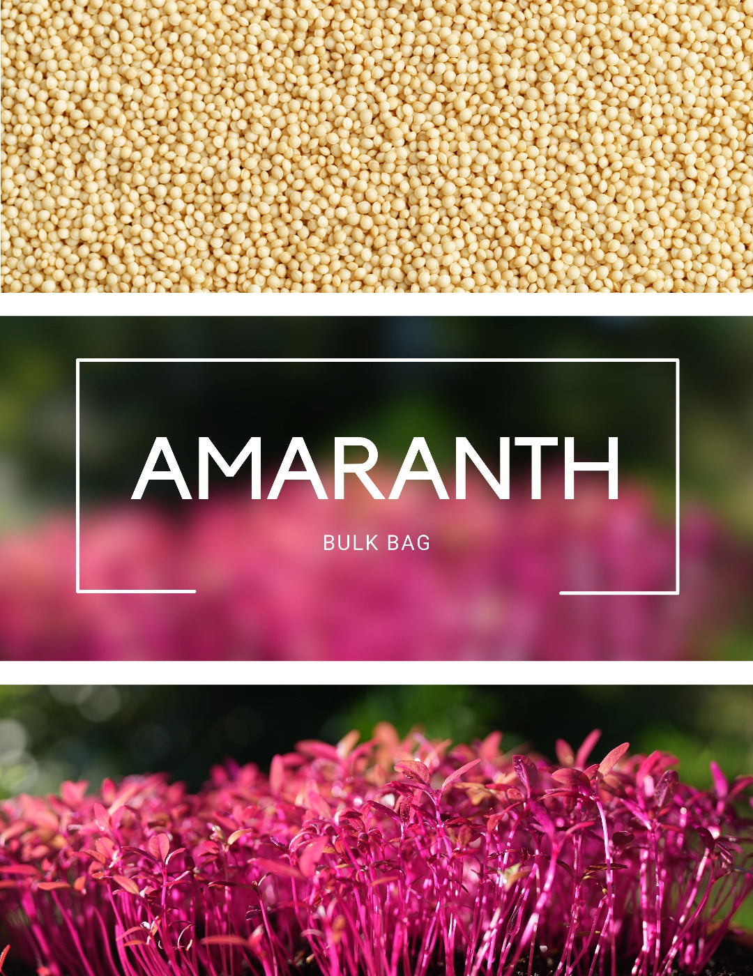 Amaranth - Sprouting BULK BAG