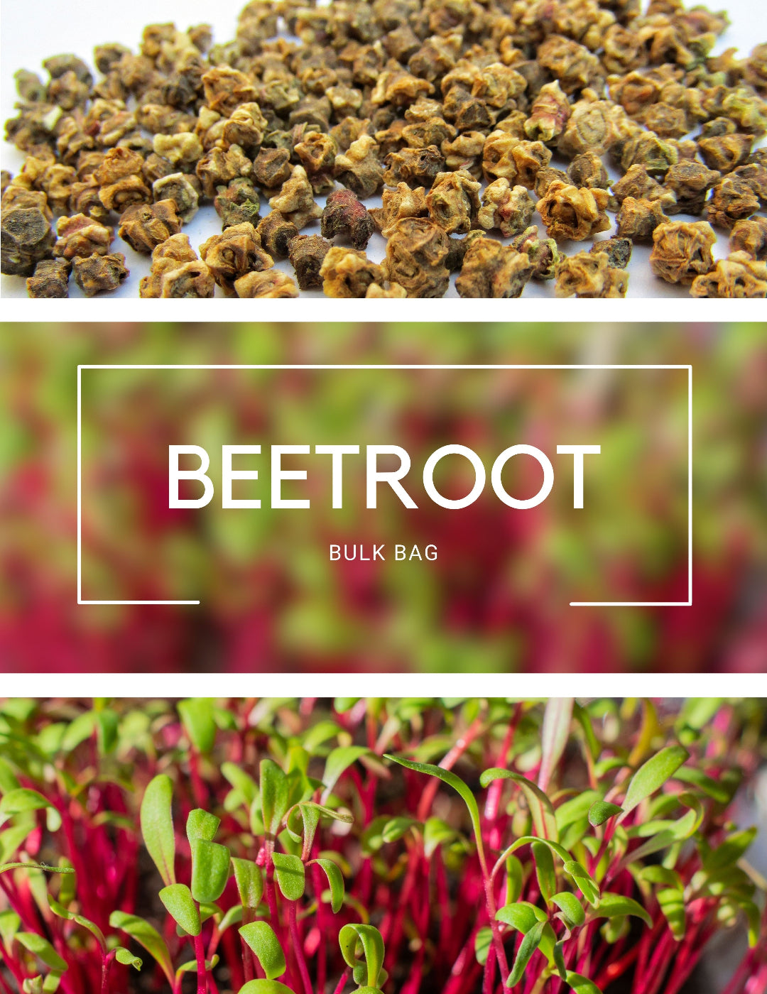 Beetroot - Sprouting BULK BAG