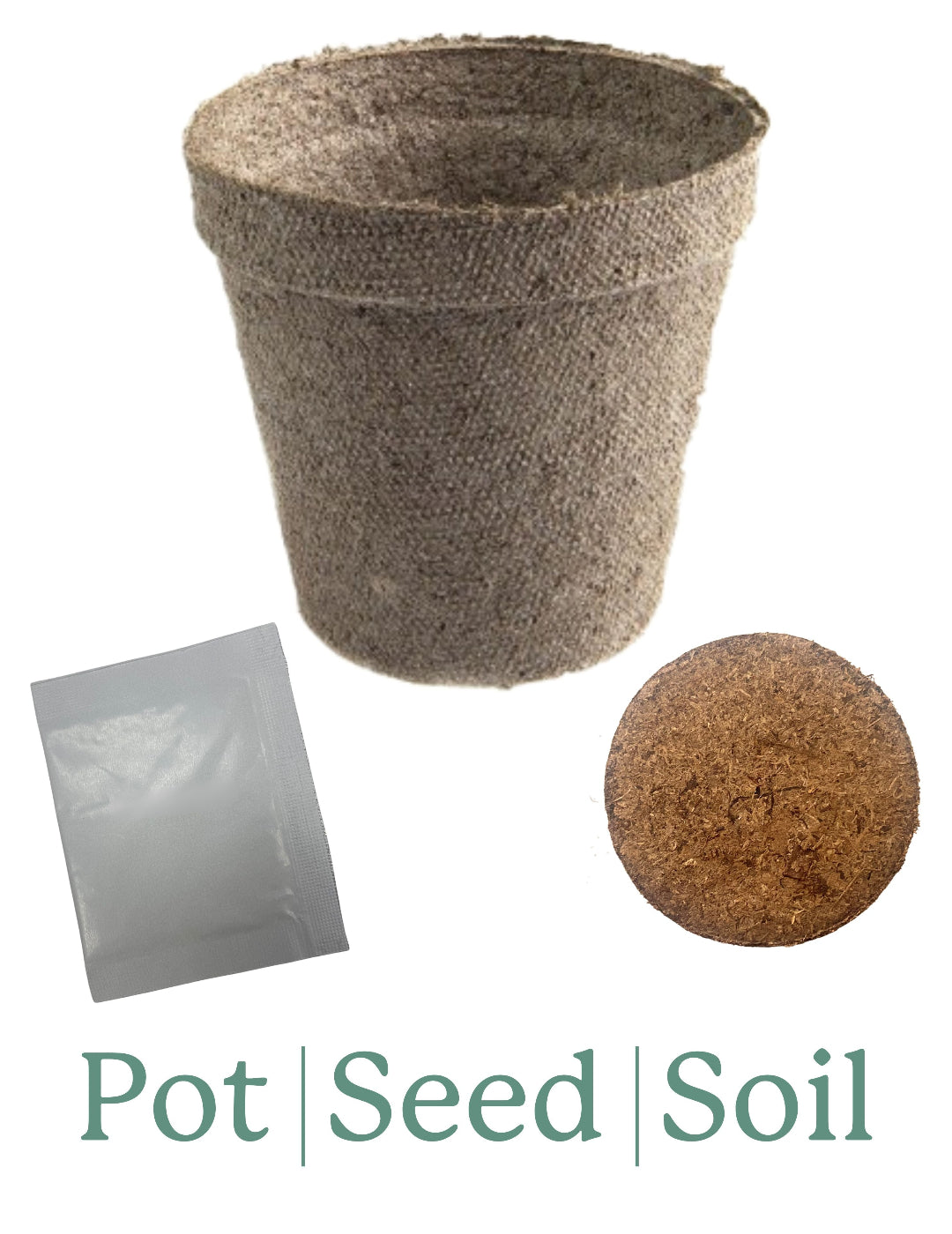 Sunflower Giant Single Seed Starter Kit