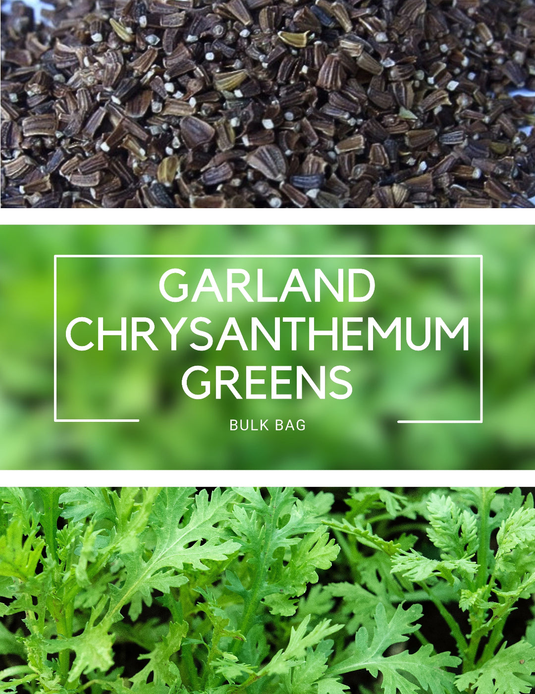 Garland Chrysanthemum Greens - Sprouting BULK BAG