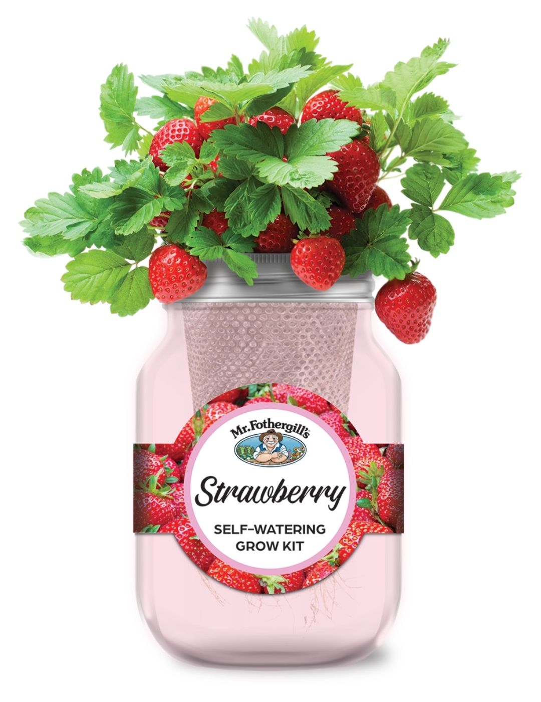 Self Watering Mason Jar - Strawberry Temptation