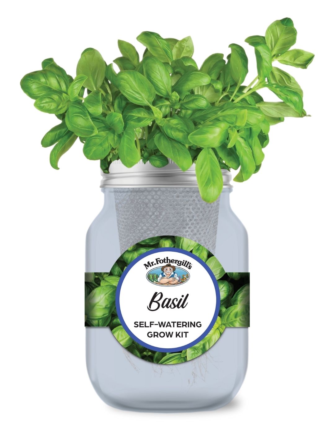 Self Watering Mason Jar - Basil Sweet