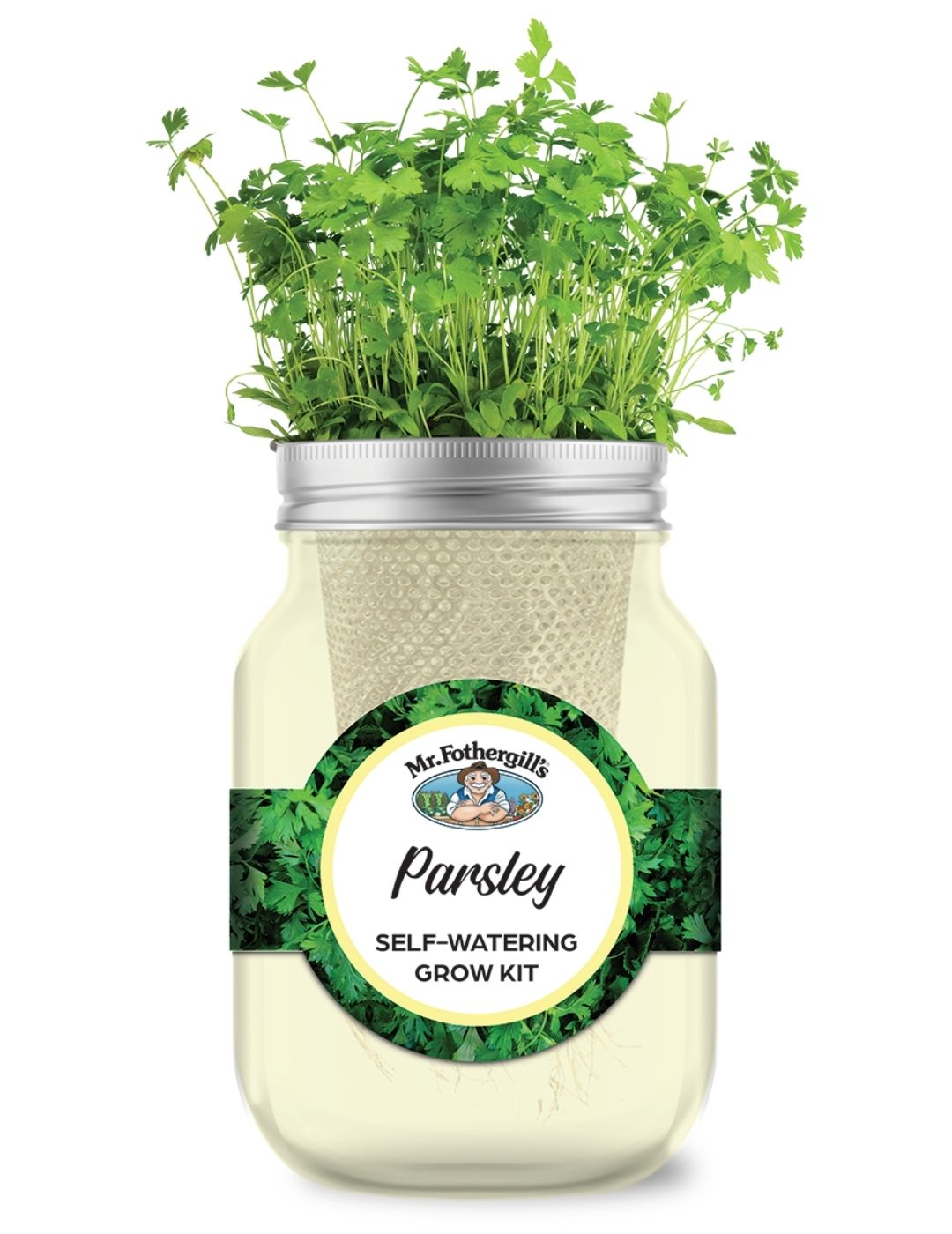 Self Watering Mason Jar - Parsley Italian