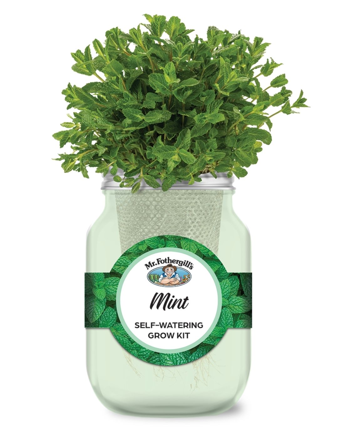 Self Watering Mason Jar - Mint Spearmint