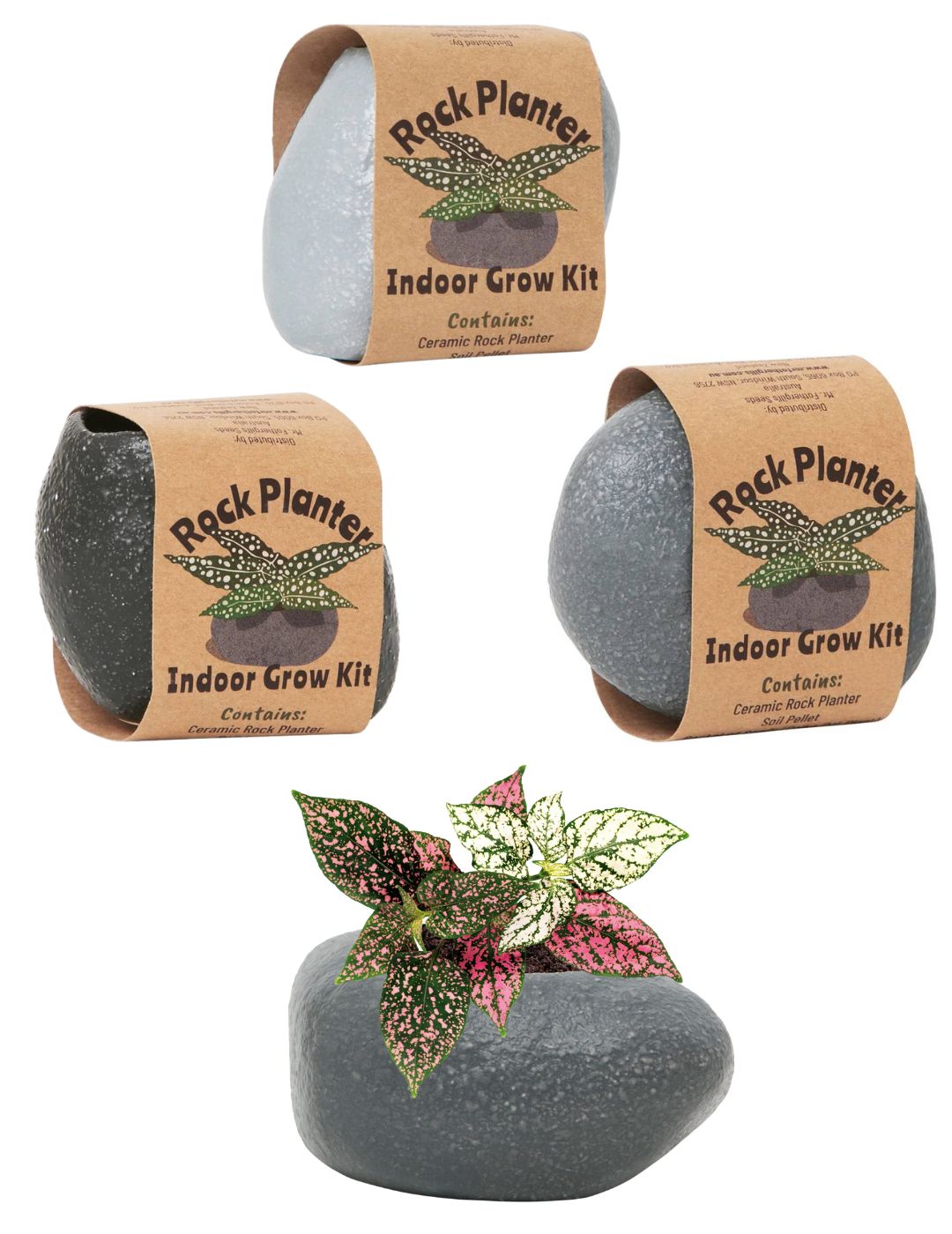 Rock Planter 3 Pack