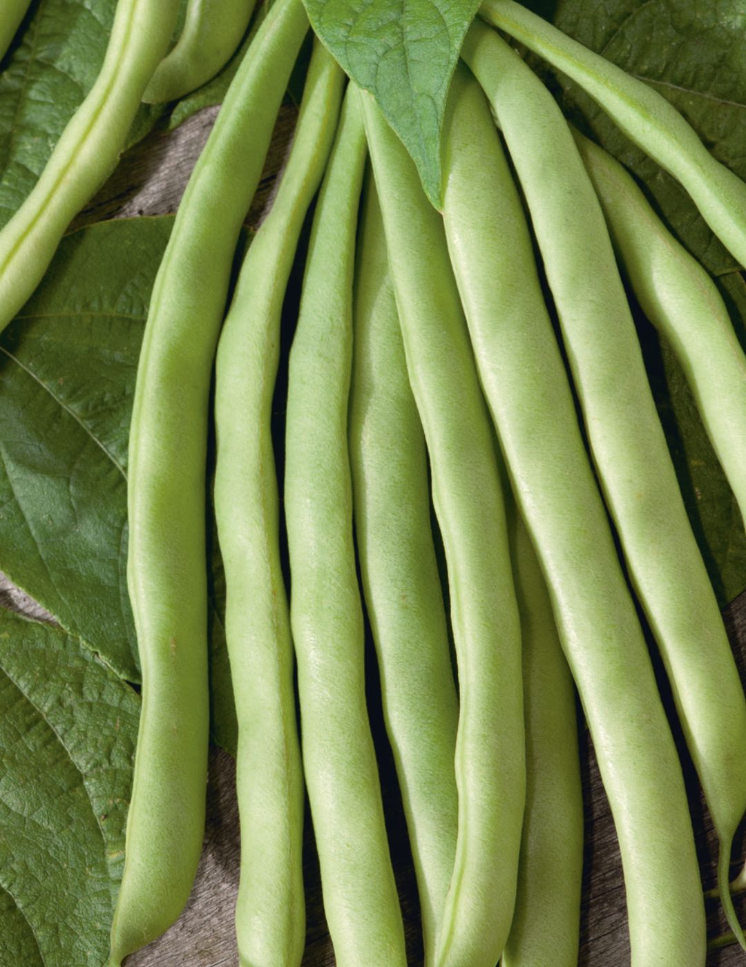 Bean, Climbing Epicure