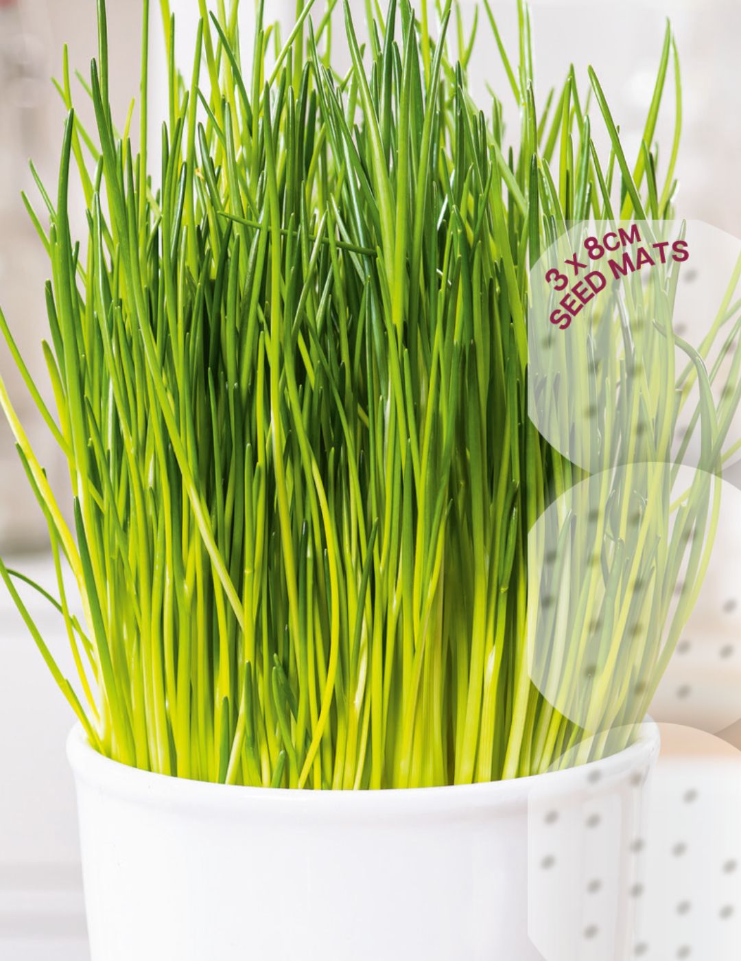 Chives Seed Mat