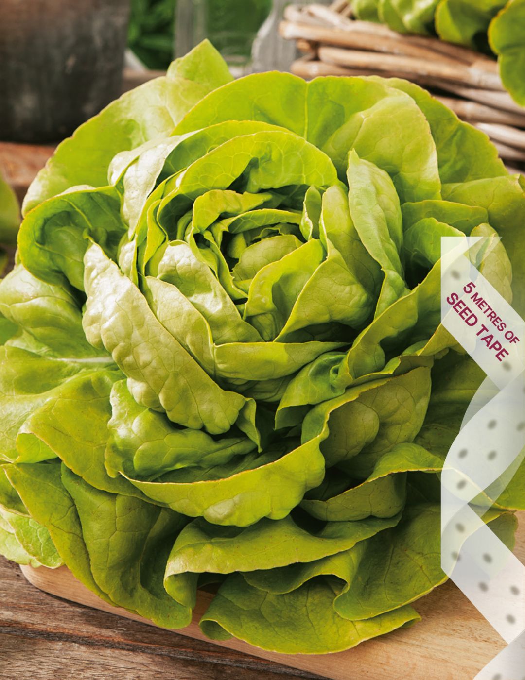 Lettuce All Year Seed Tape