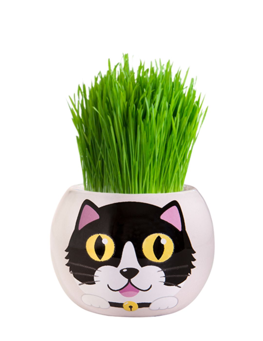 Grass Hair Kit - Kittens (Checkers)