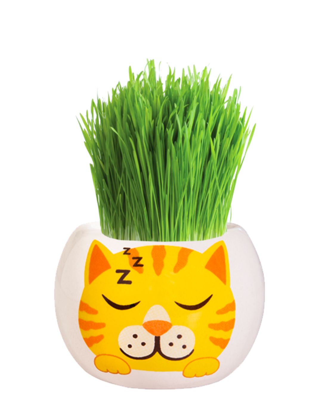 Grass Hair Kit - Kittens (Ginger)