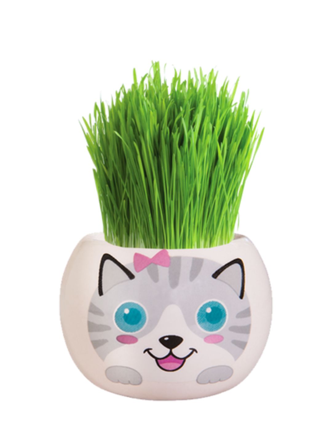 Grass Hair Kit - Kittens (Misty)