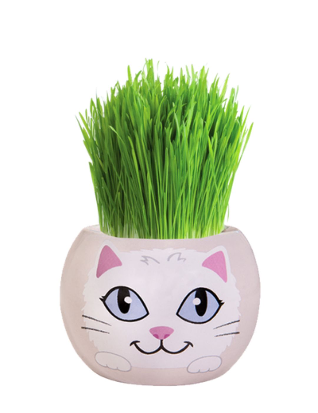 Grass Hair Kit - Kittens (Snowflake)