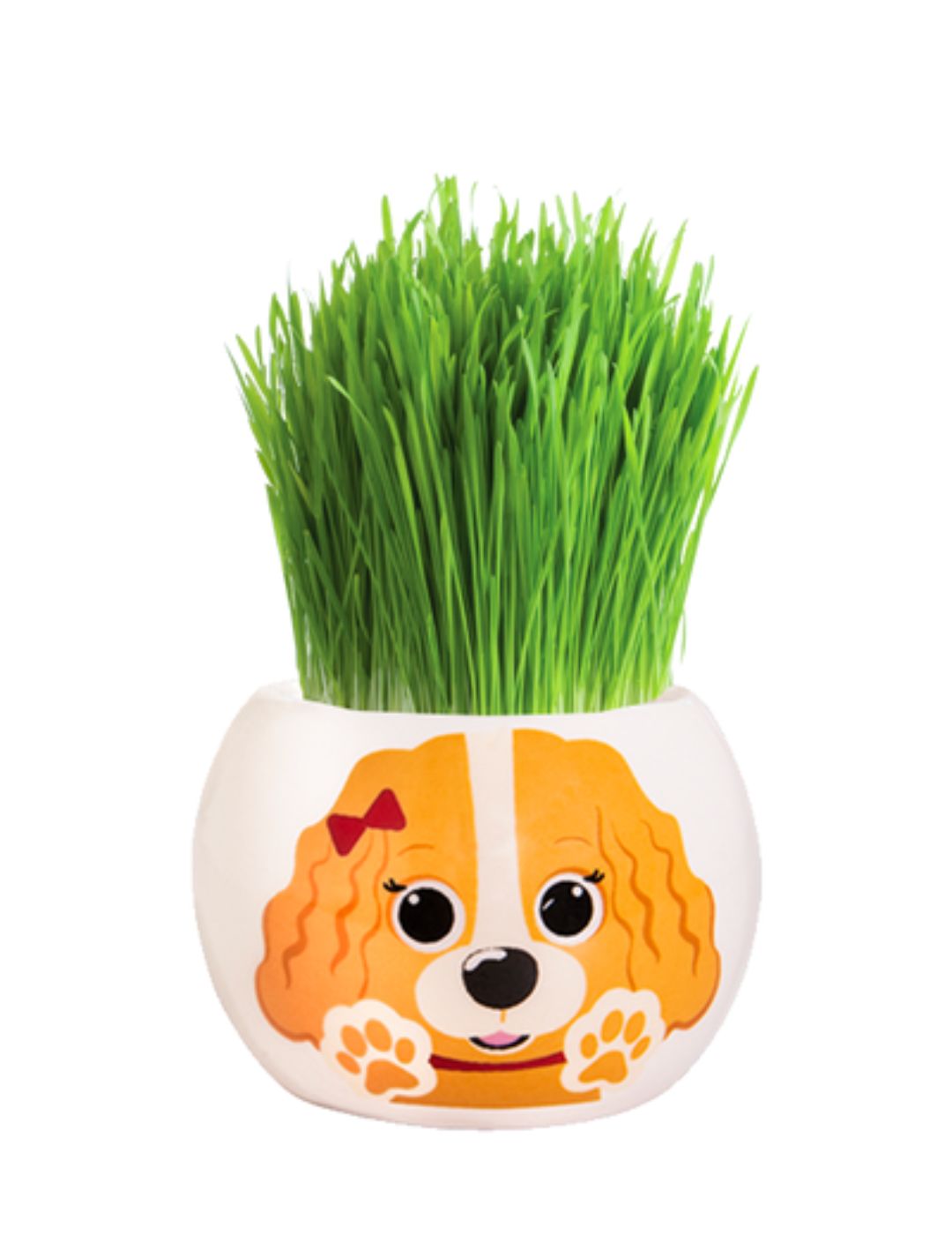 Grass Hair Kit - Puppies (Cavalier)