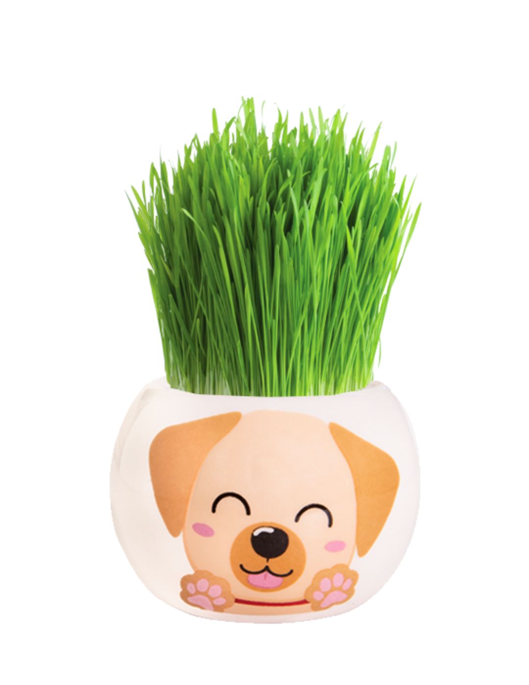 Grass Hair Kit - Puppies (Labrador)