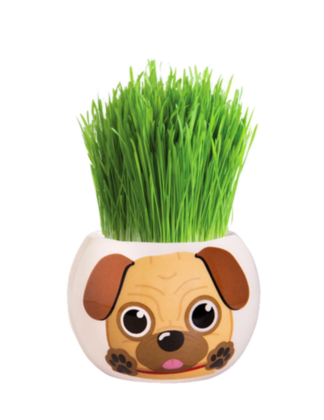 Grass Hair Kit - Puppies (Pug)