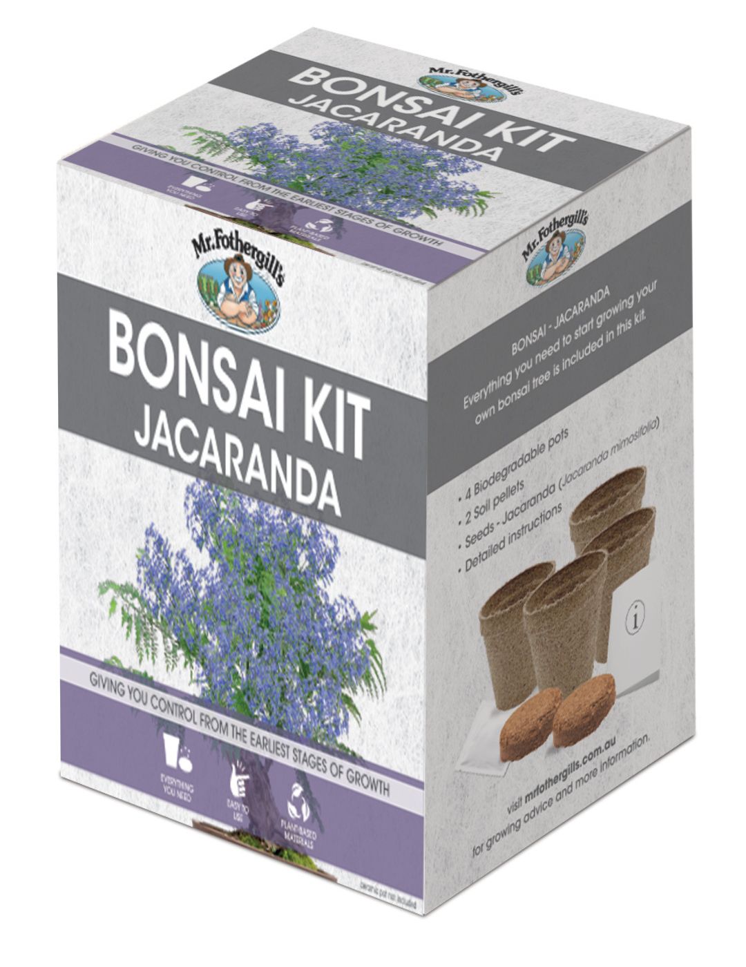 Bonsai Starter Kit - Jacaranda