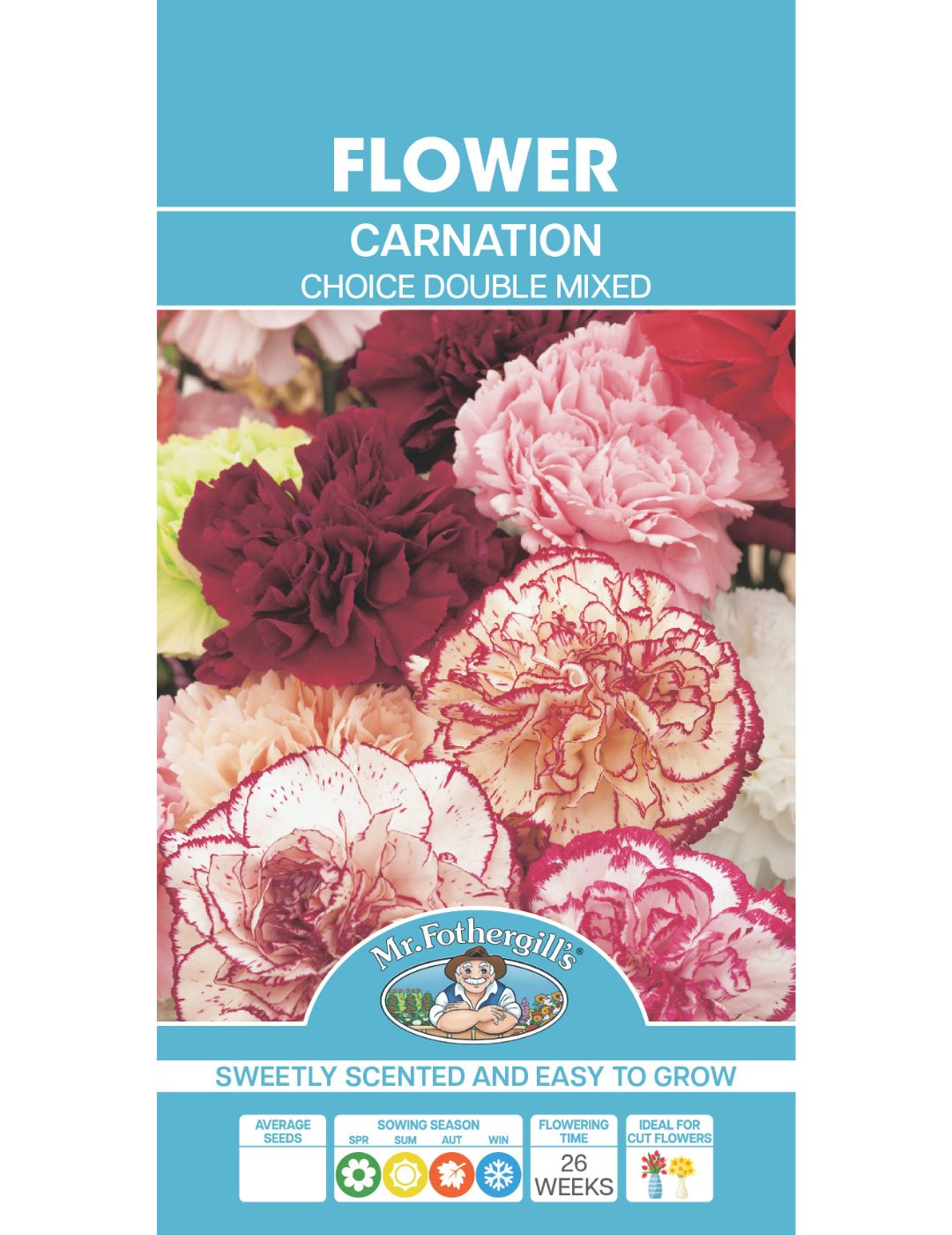 Choice Double Mixed Carnation Seeds