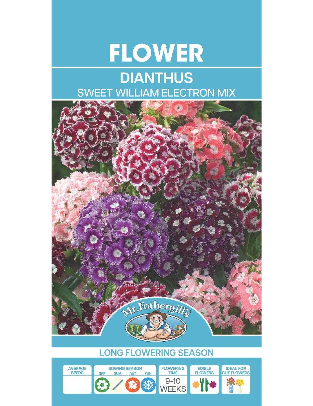 Dianthus Sweet William Electron Mix Seeds