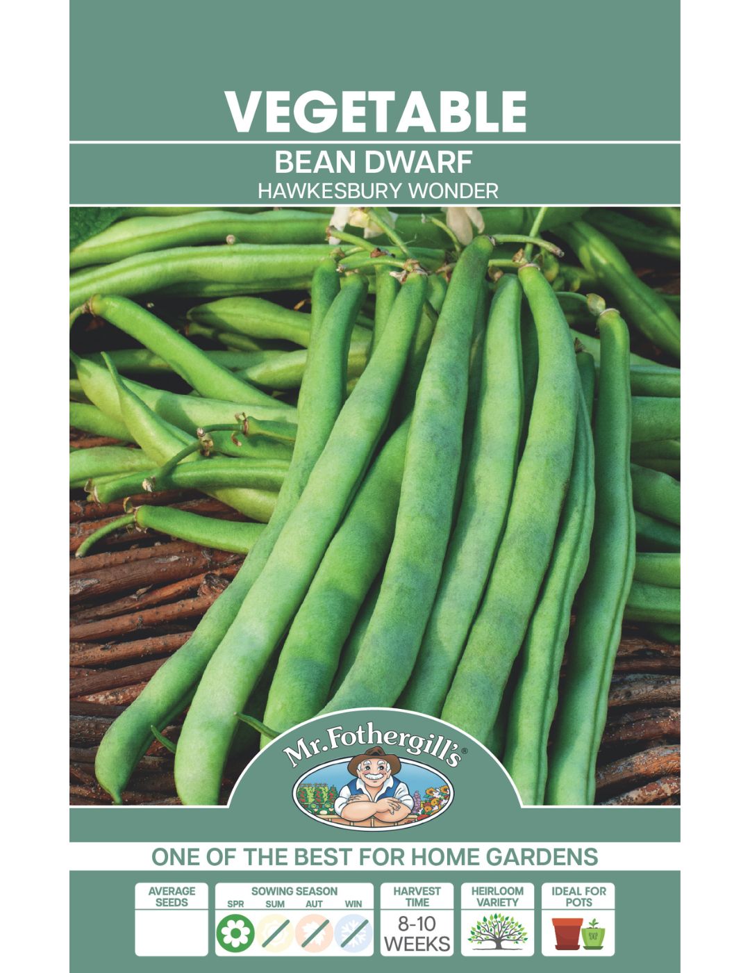 Dwarf Bean Hawkesbury Wonder