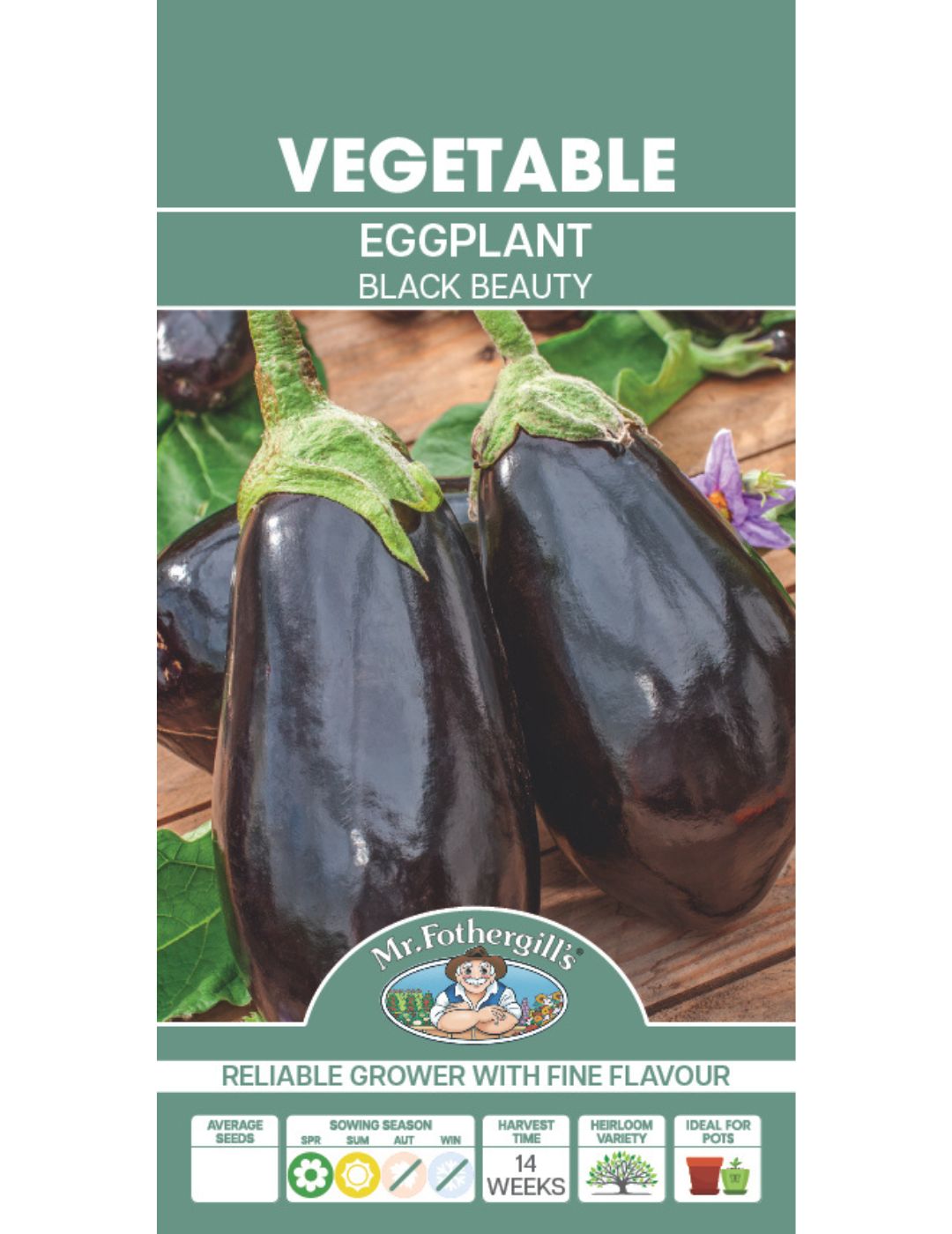 Eggplant Black Beauty