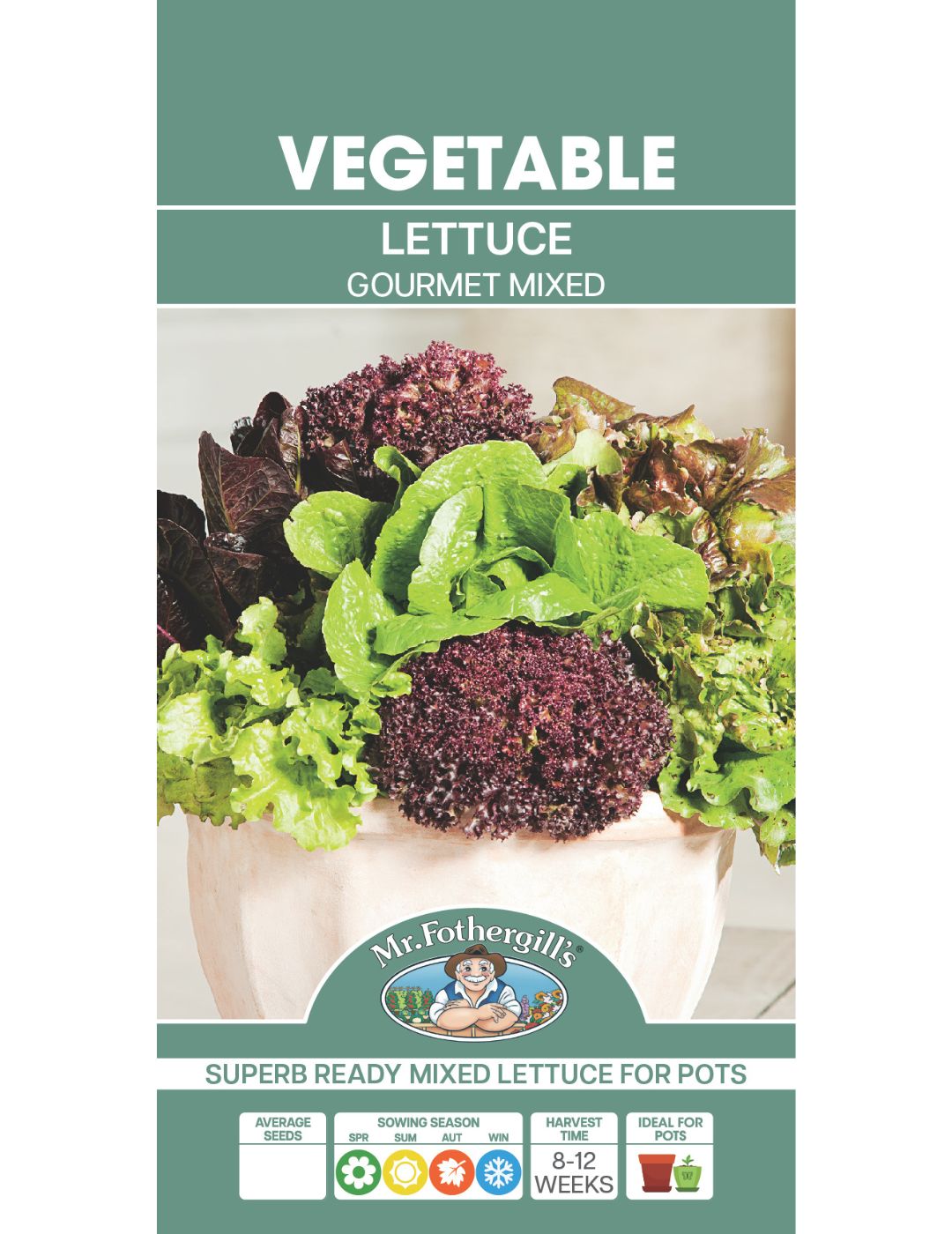 Lettuce Gourmet Mixed CONTAINER GARDEN