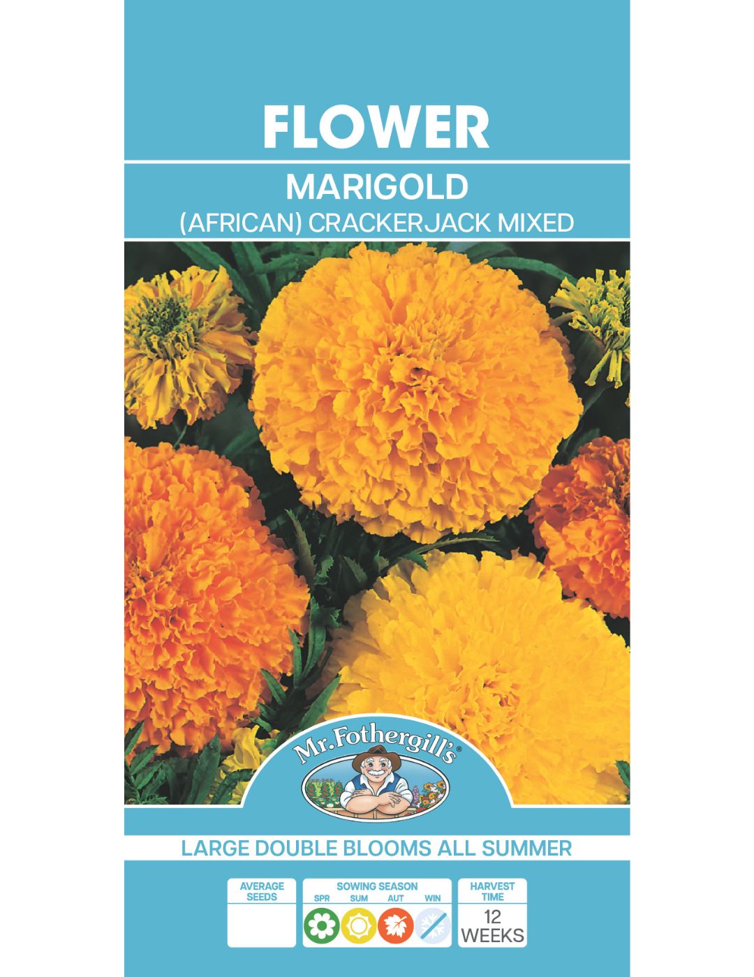 Marigold (African) Crackerjack