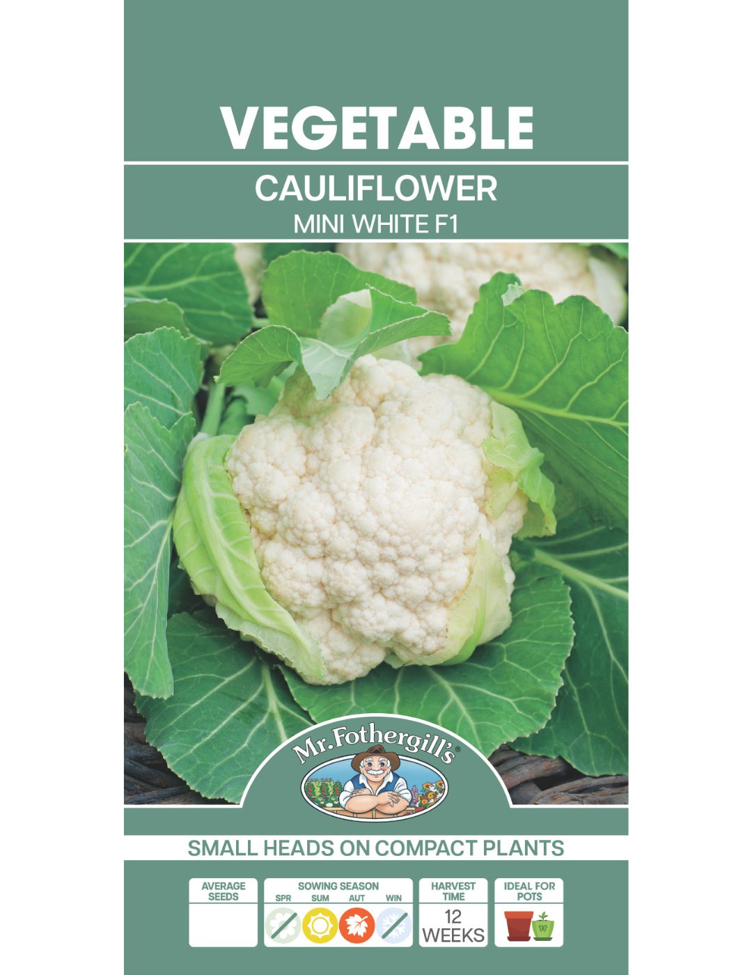 Mini White F1 Cauliflower Seeds