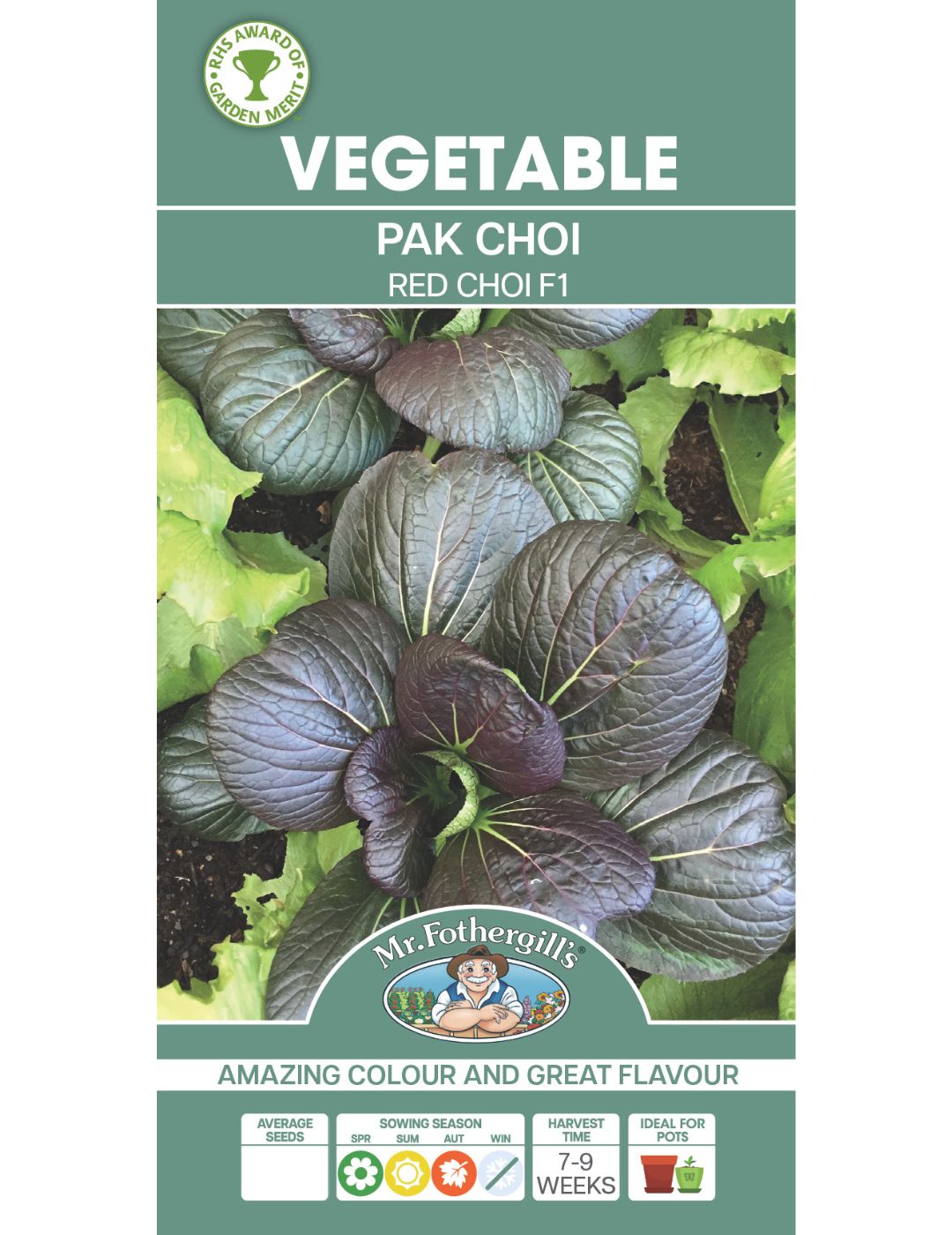 Pak Choi Red Choi F1