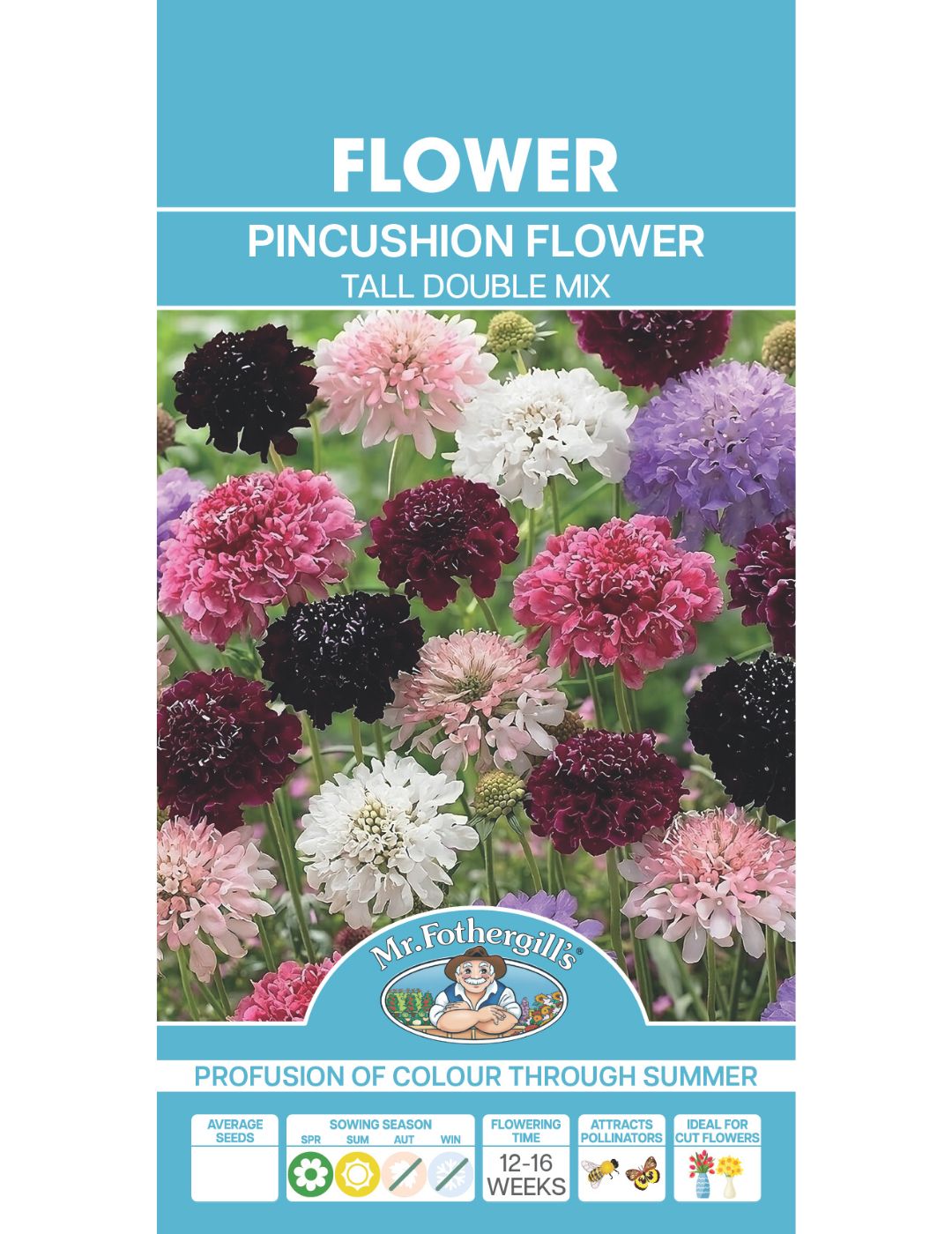 Pincushion Flower (Tall Double Mix)