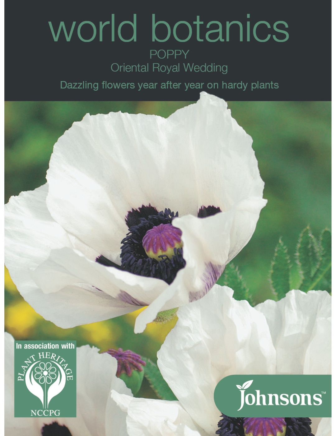 Poppy Oriental Royal Wedding