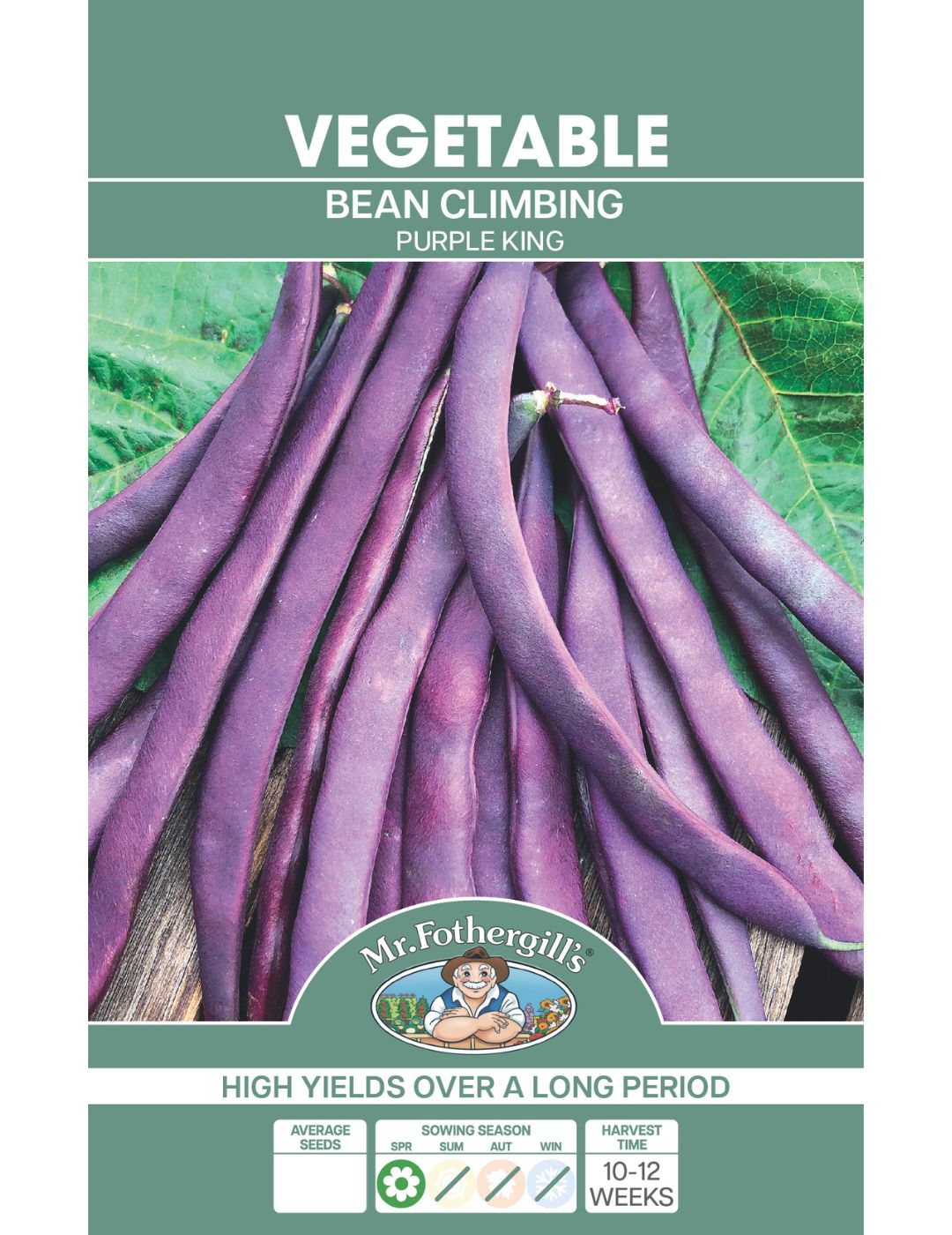 Purple King Climbing Bean