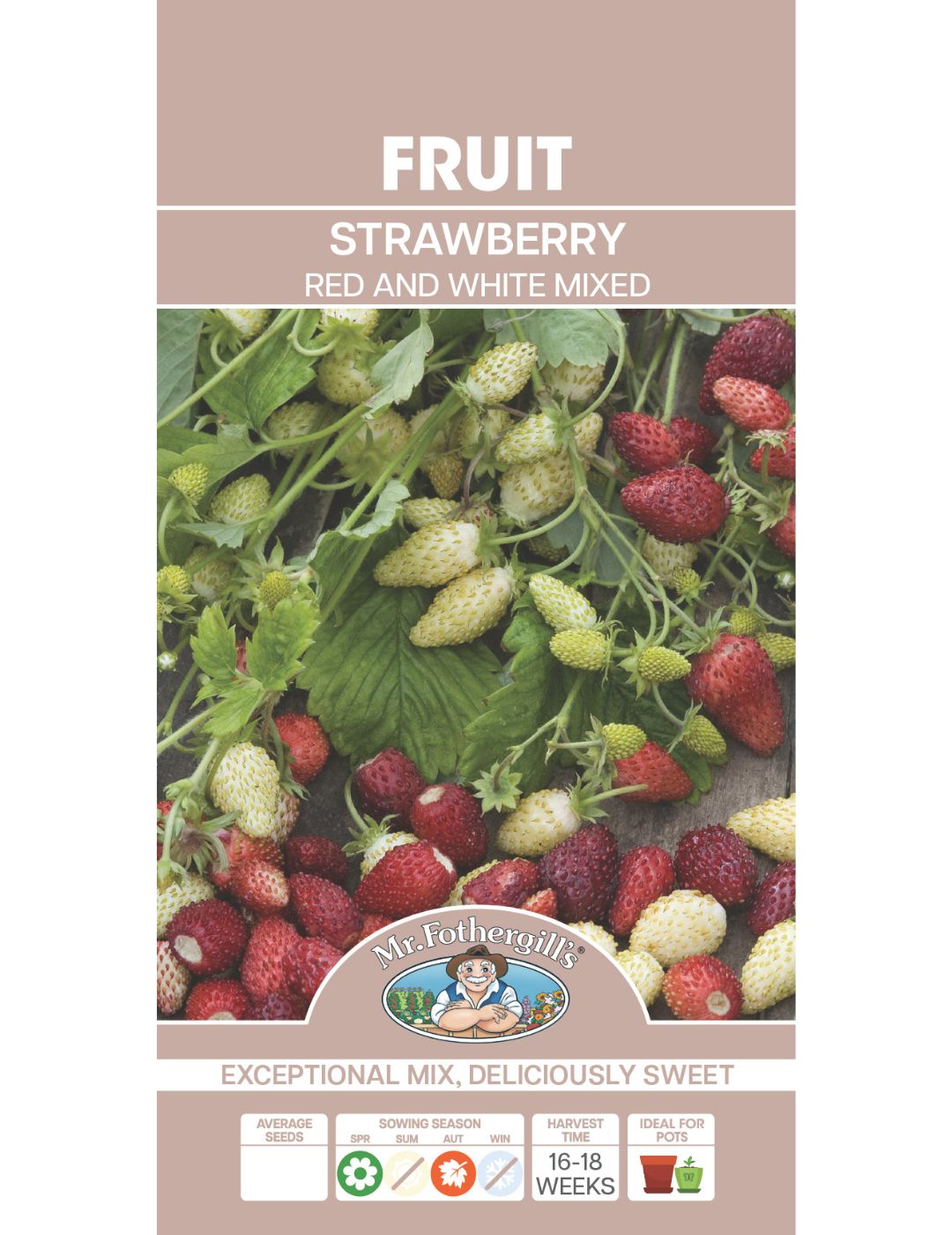 Strawberry Red & White VEGETABLE EXPLORER (Seeds)