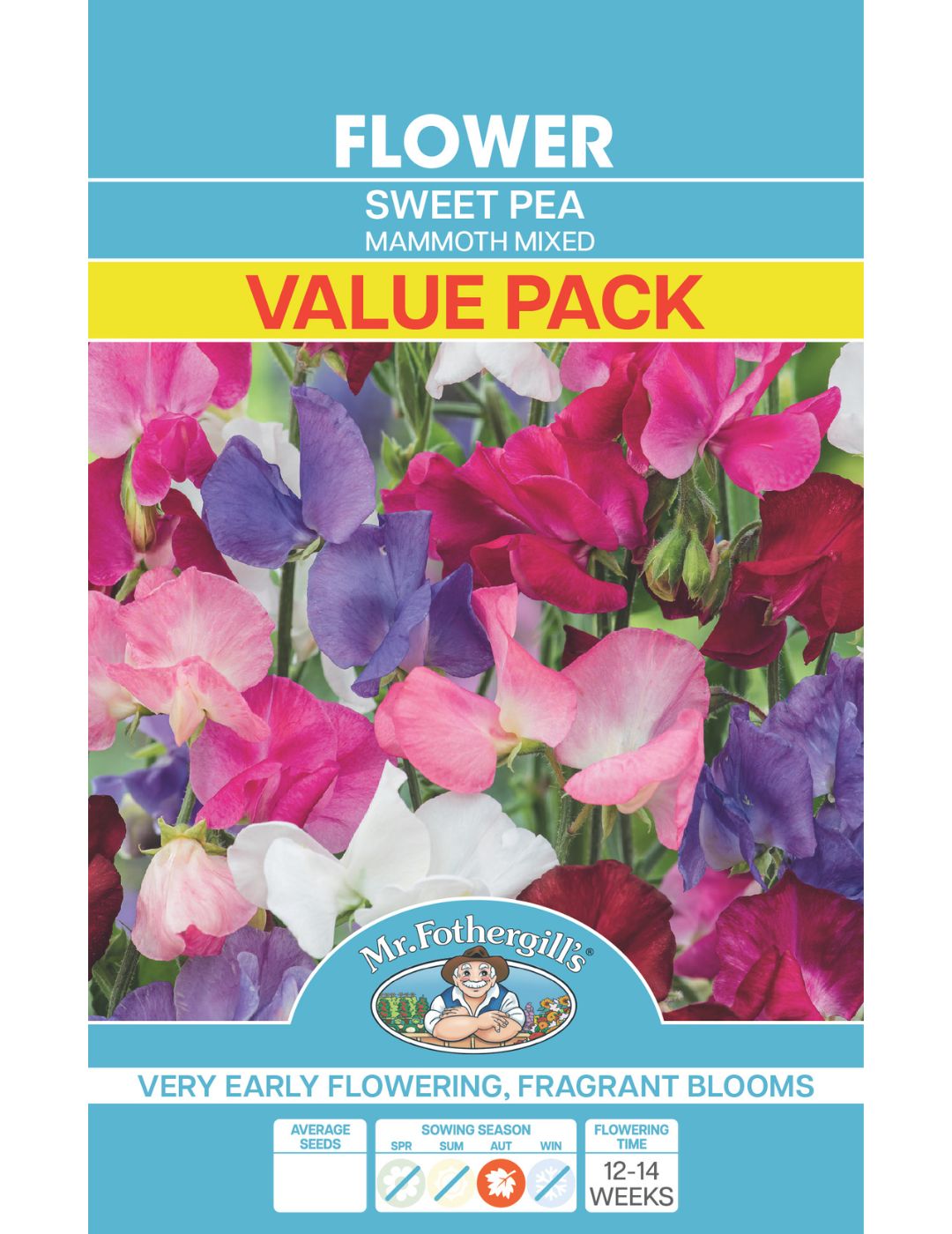 Sweet Pea Mammoth Mixed Seeds Value Pack