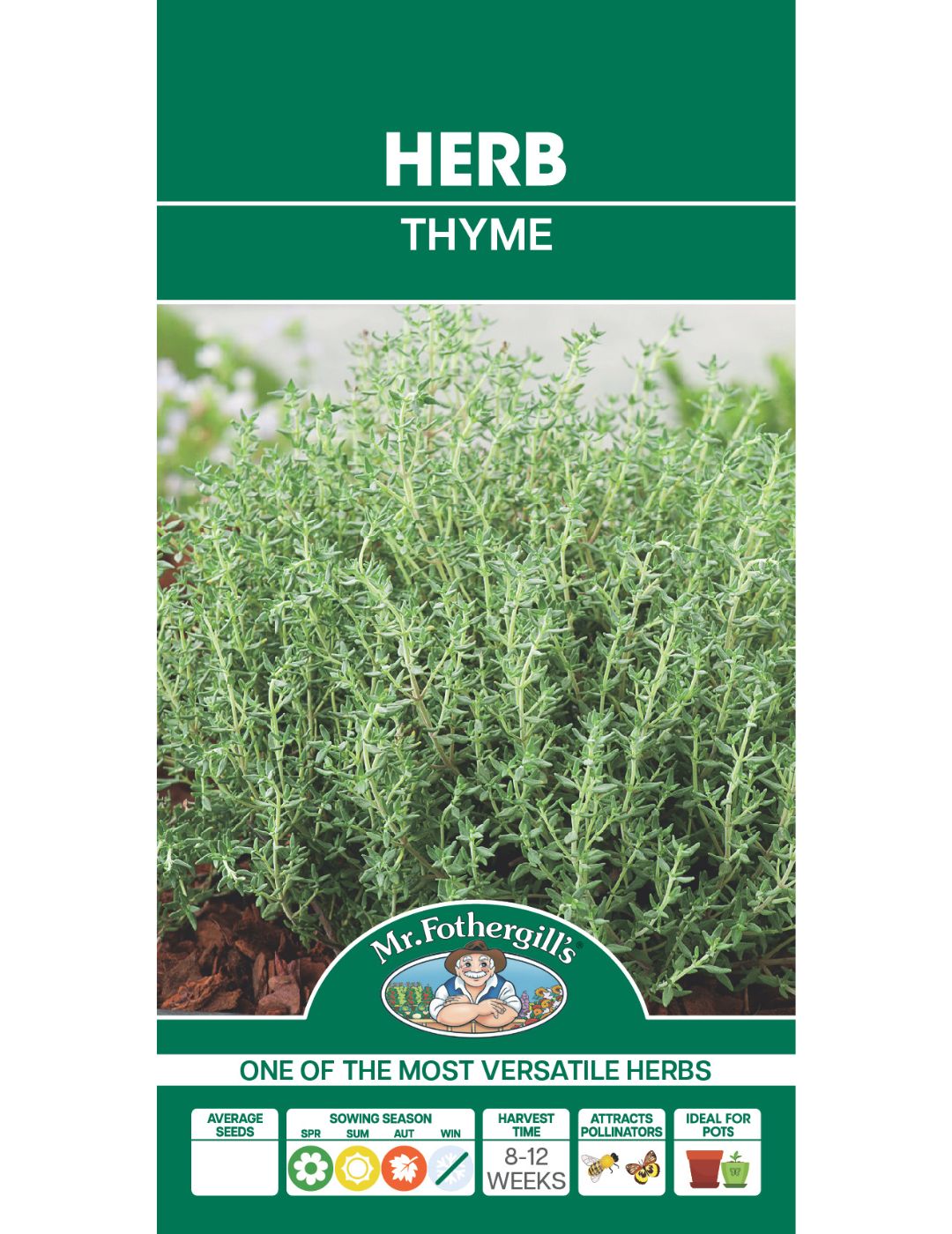 Thyme Seeds