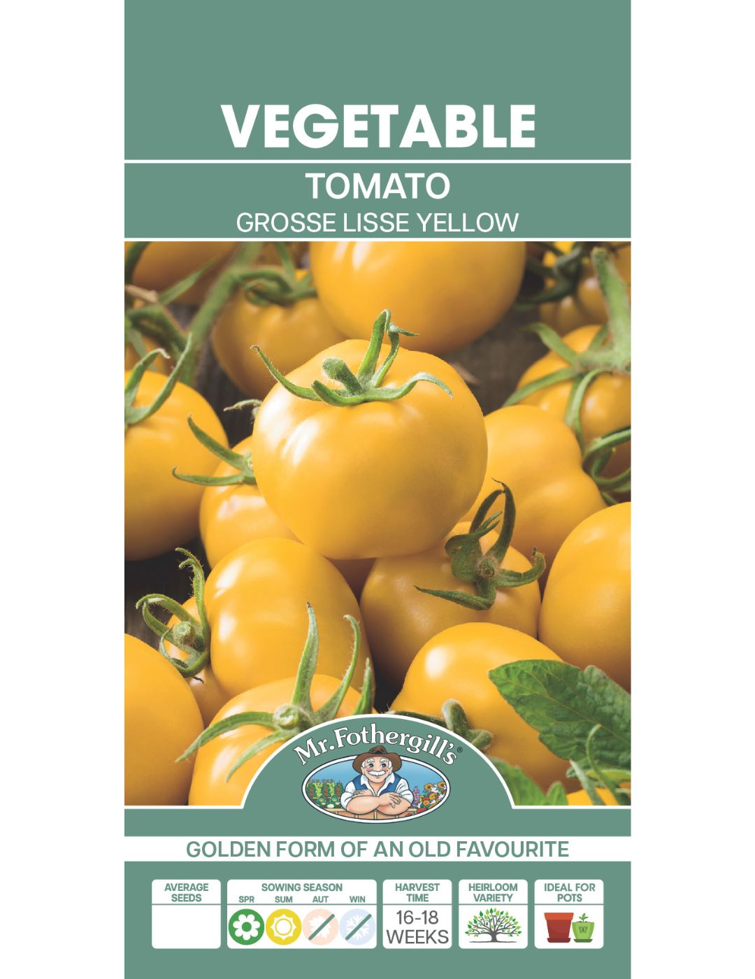 Tomato Grosse Lisse Yellow