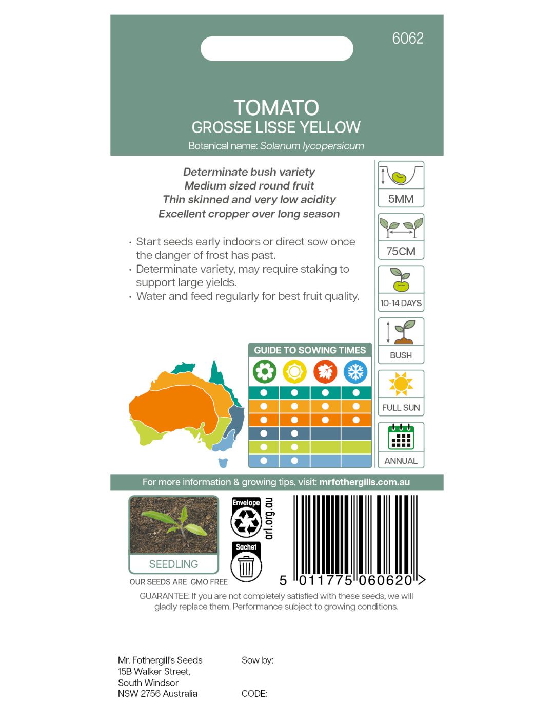 Tomato Grosse Lisse Yellow