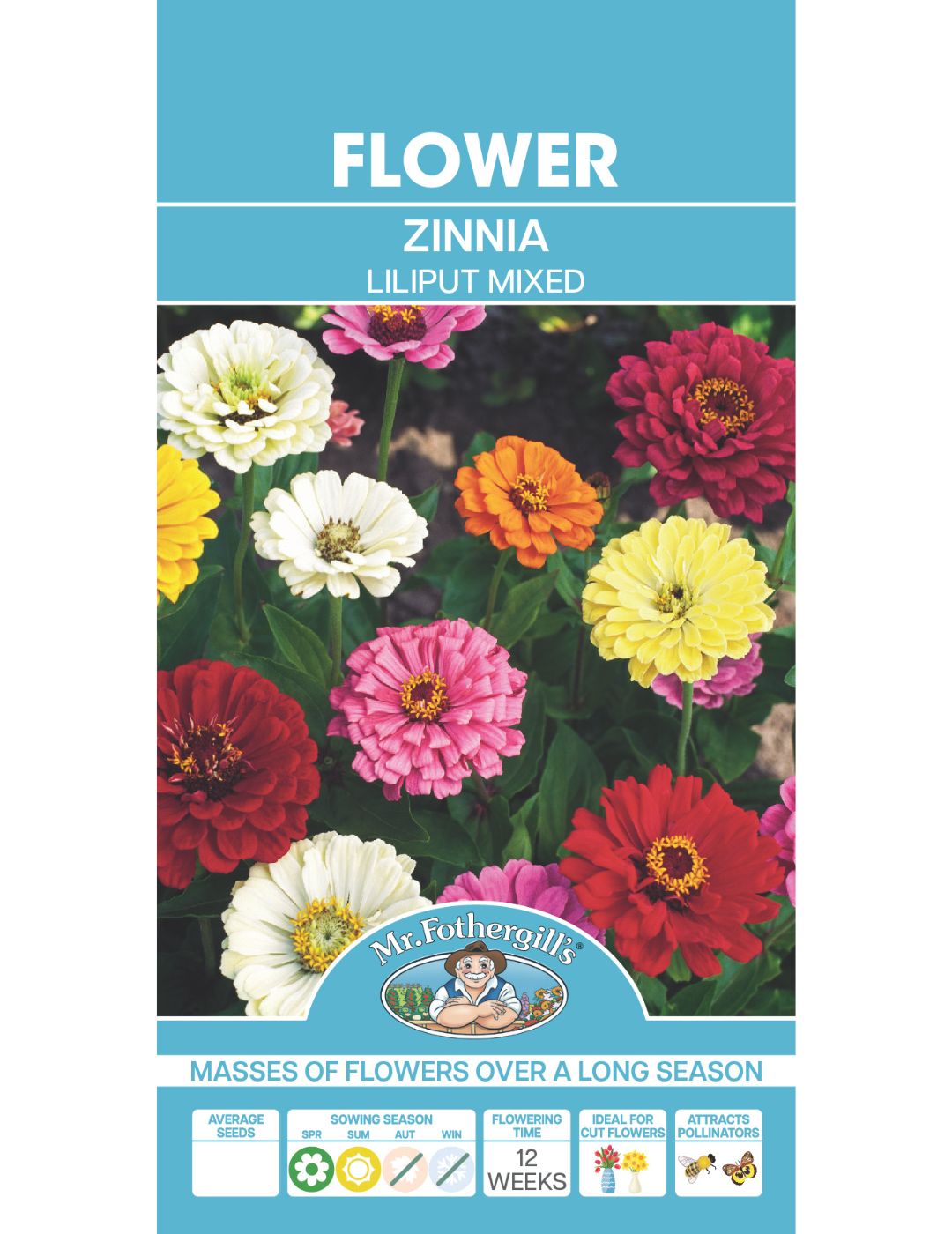 Zinnia Lilliput Mixed - LIMITED EDITION