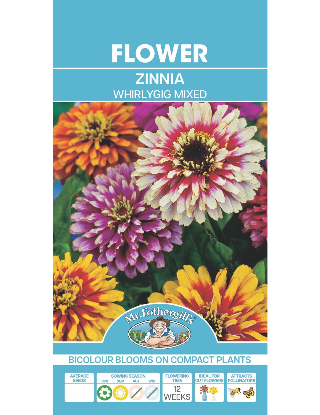 Zinnia Whirlygig Mixed - LIMITED EDITION