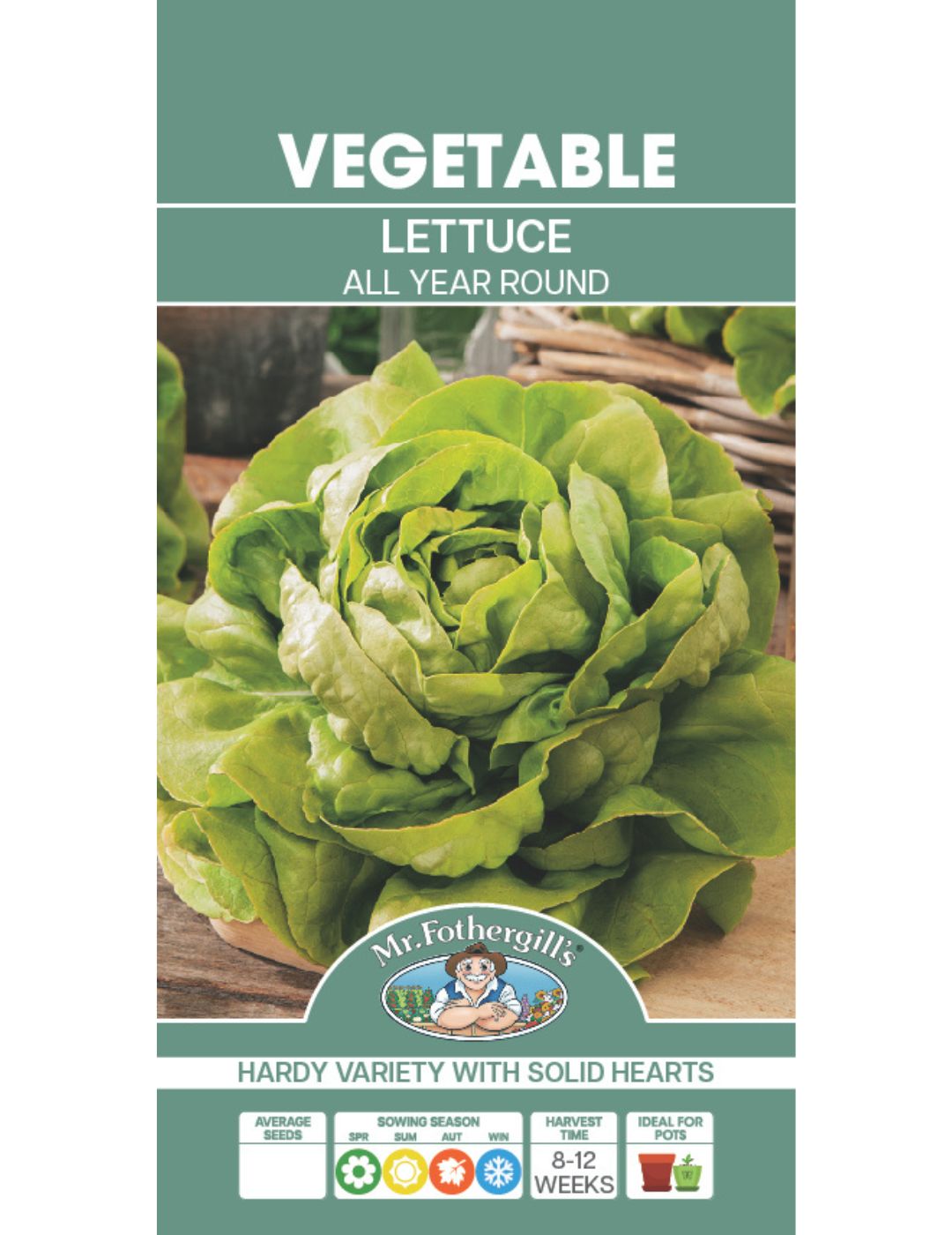 All Year Round Lettuce Seeds