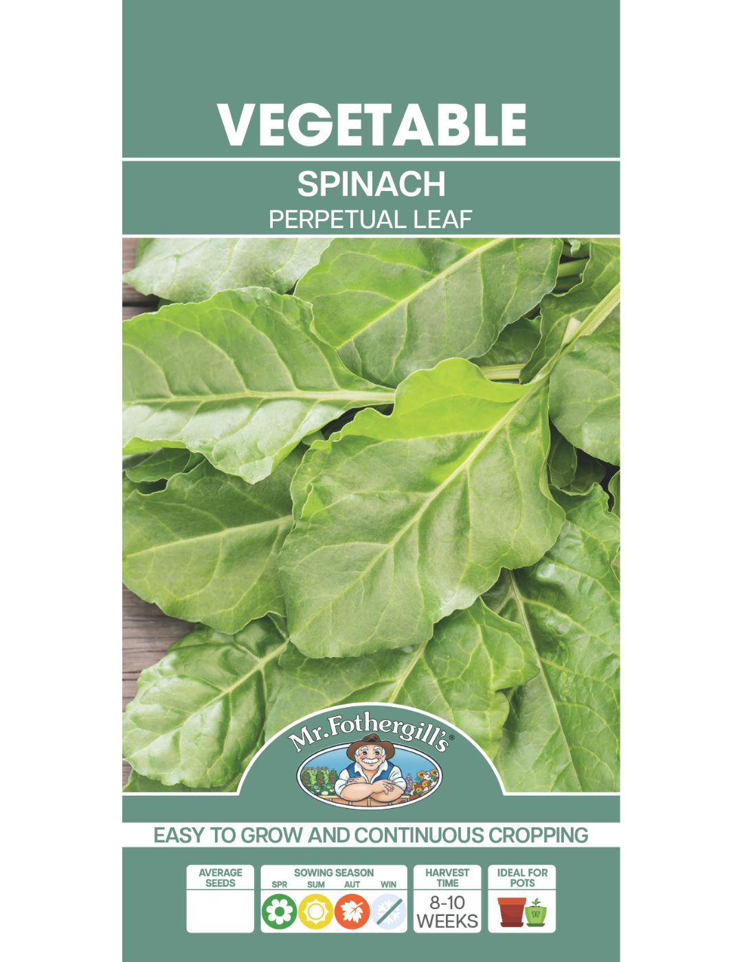 Spinach Perpetual Leaf