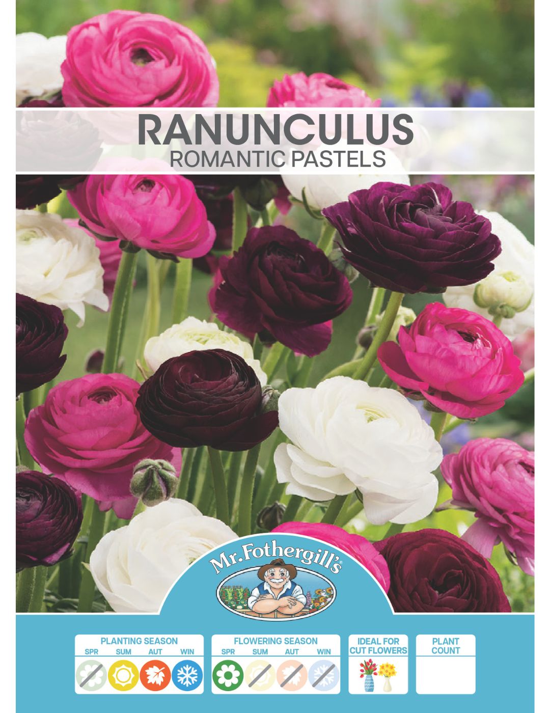 Ranunculus Romantic Pastels Bulbs