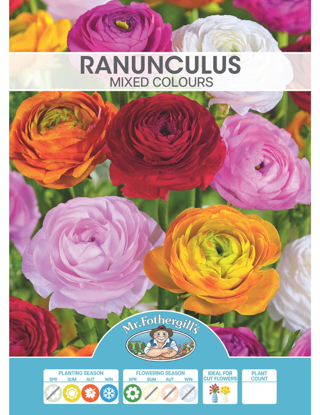 Ranunculus Mixed Colours Bulbs