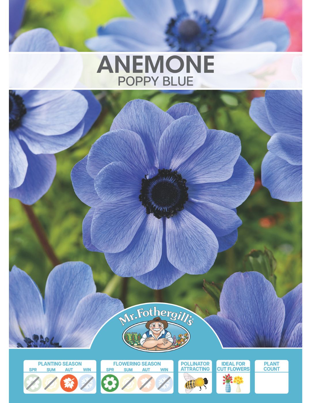 Anemone Poppy Blue